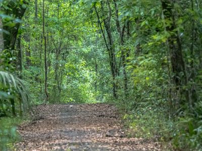 Path at Black Creek Park and Trail