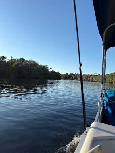 IMG_9419.jpeg