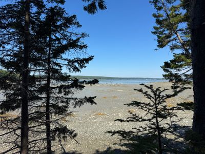 IMG_0165 (1).HEIC