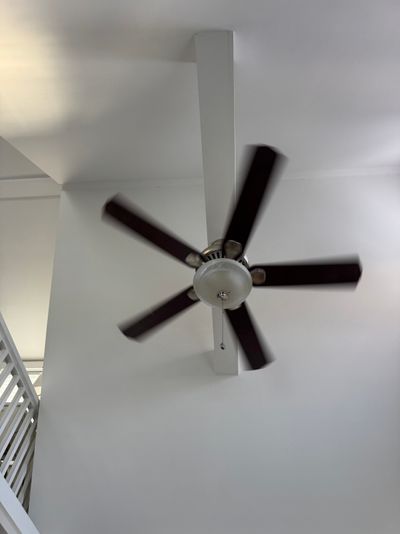 IMG_5993.jpeg