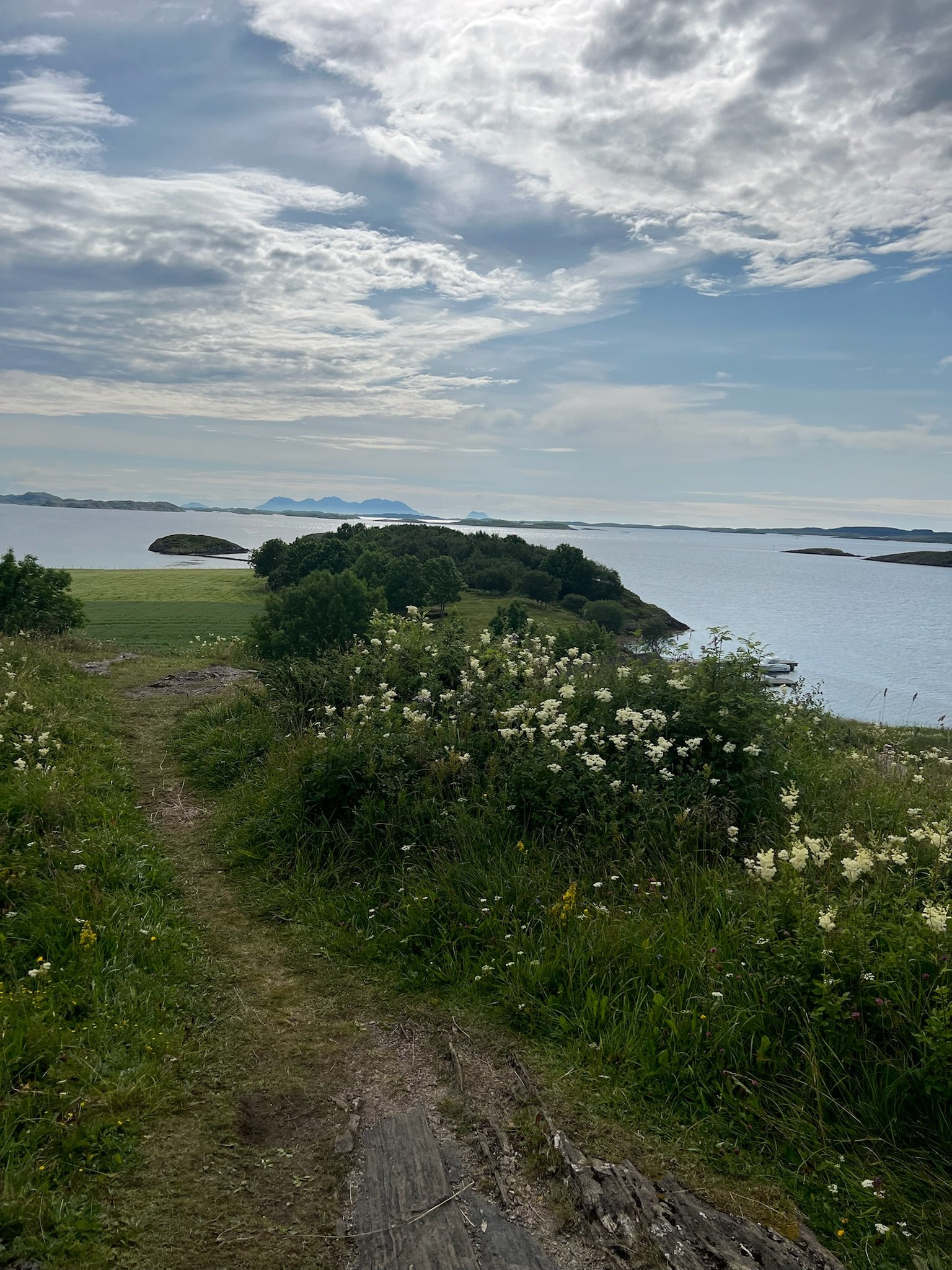 IMG_4144.jpg