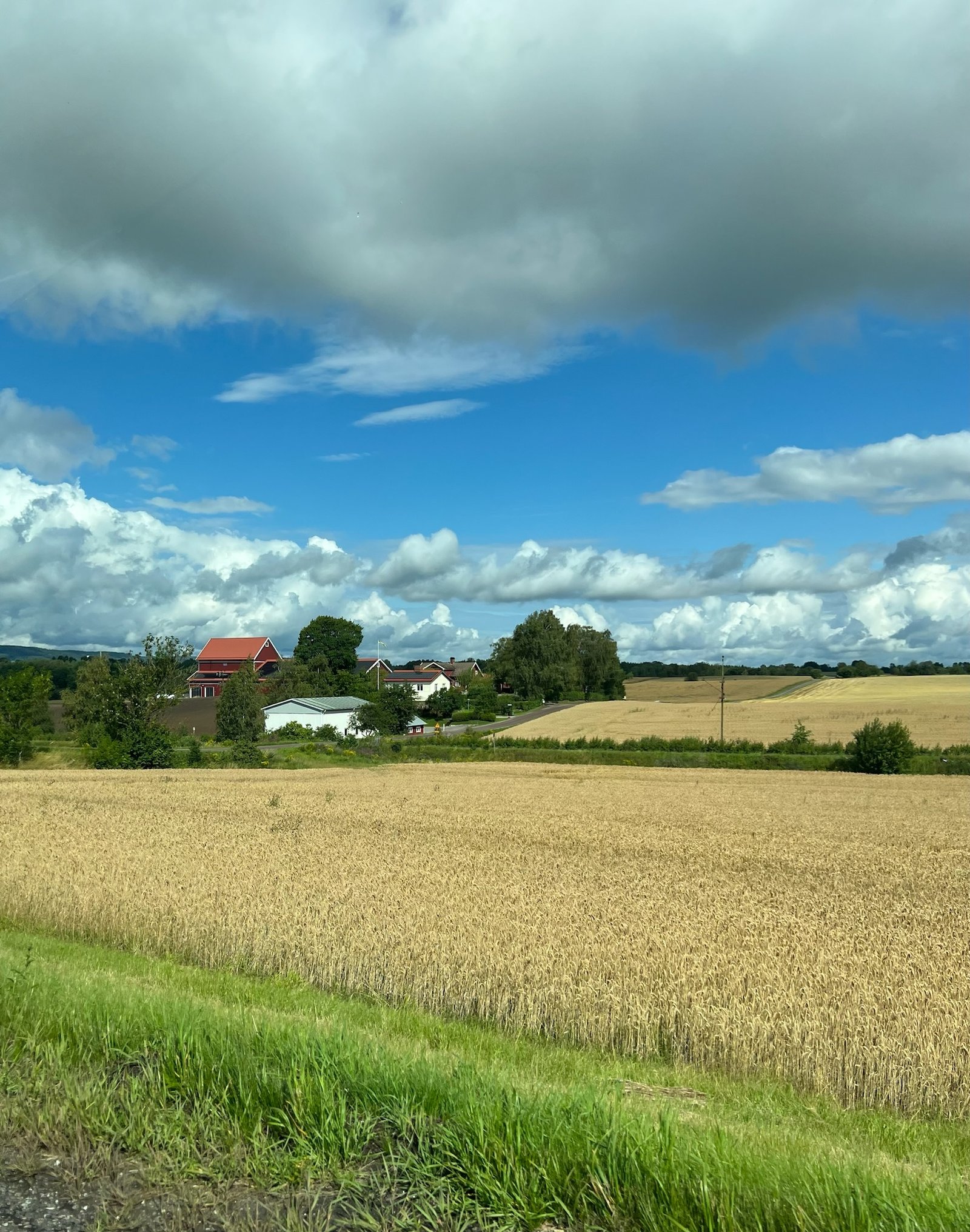 IMG_4346.jpg