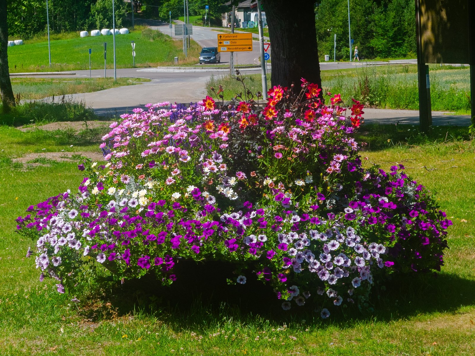 P1139456.jpg