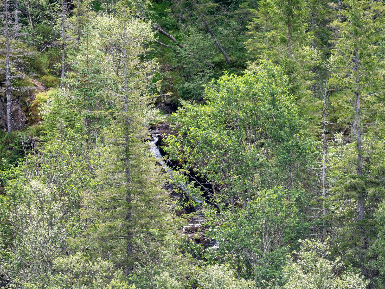 P1139757.jpg