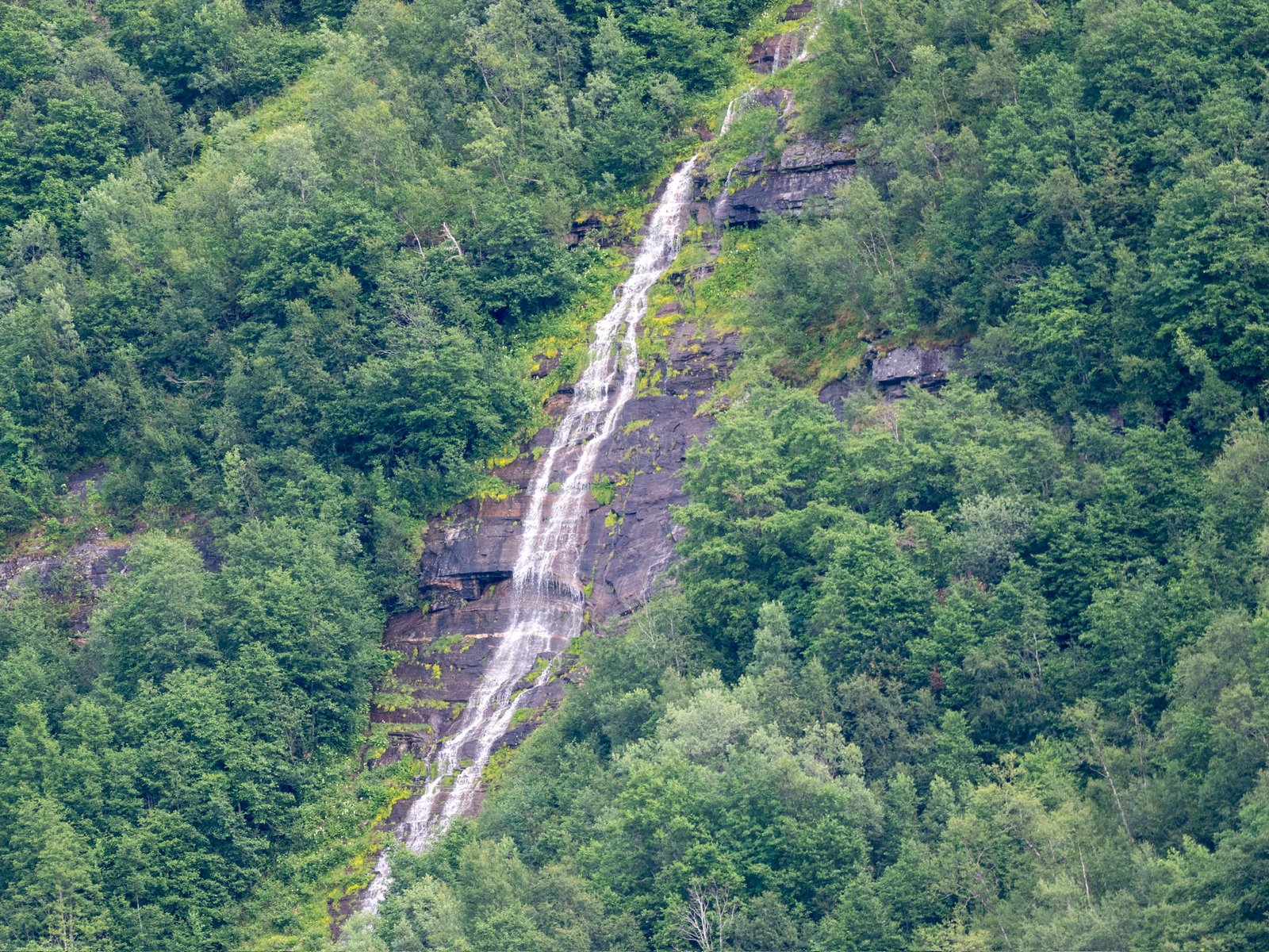P1139773.jpg