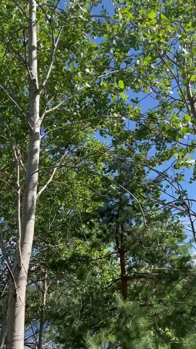 IMG_3914.MP4