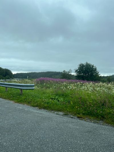 IMG_4055.jpeg