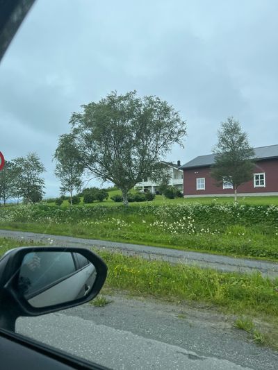 IMG_4058.jpeg