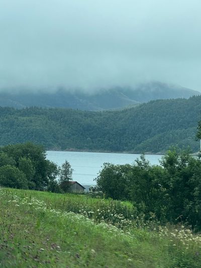 IMG_4075.jpg
