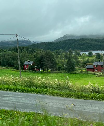 IMG_4078.jpg