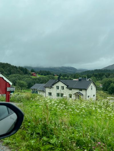 IMG_4079.jpg