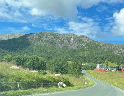 IMG_4088.jpg