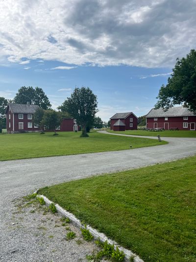 IMG_4134.jpg