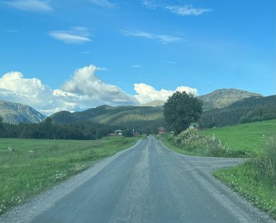 IMG_4165.jpg