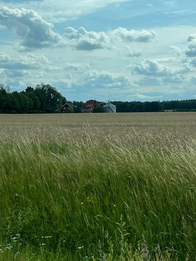 IMG_4282.jpg