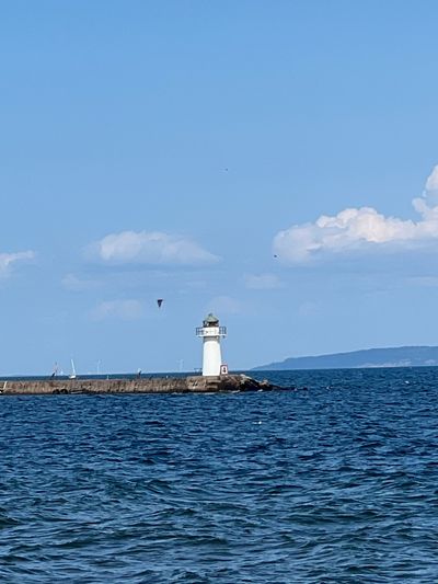 IMG_4310.jpg