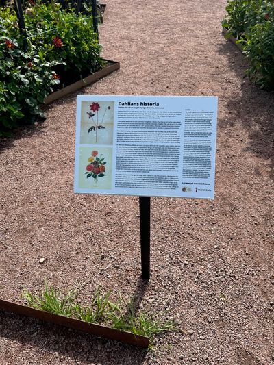 IMG_4388.jpg