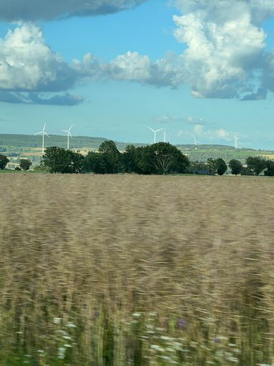 IMG_4445.jpg