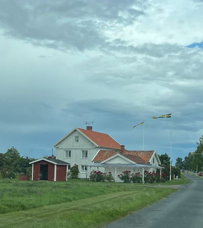 IMG_4491.jpg