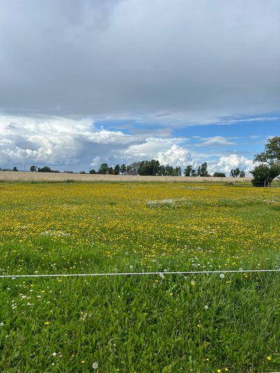 IMG_4492.jpg