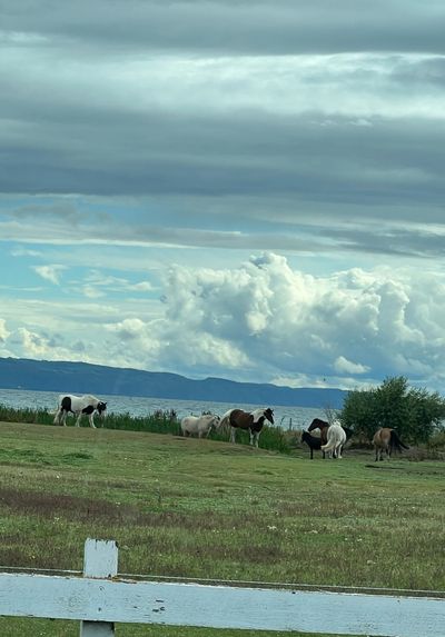 IMG_4497.jpg
