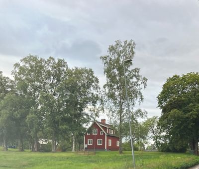 IMG_4521.jpg