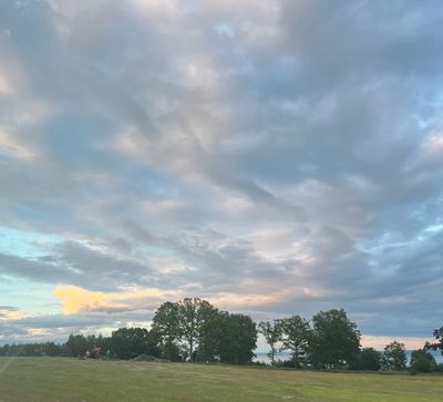 IMG_4523.jpg