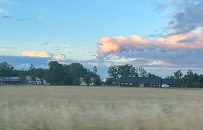 IMG_4529.jpg