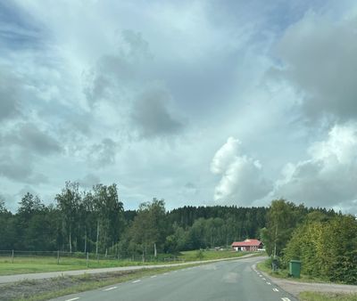 IMG_4532.jpg