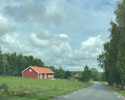 IMG_4533.jpg