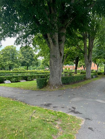 IMG_4566.jpg