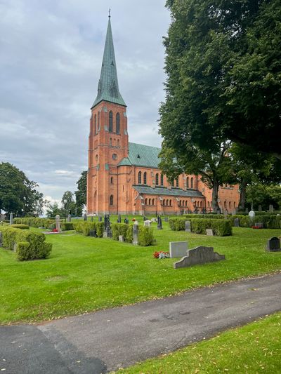IMG_4568.jpg