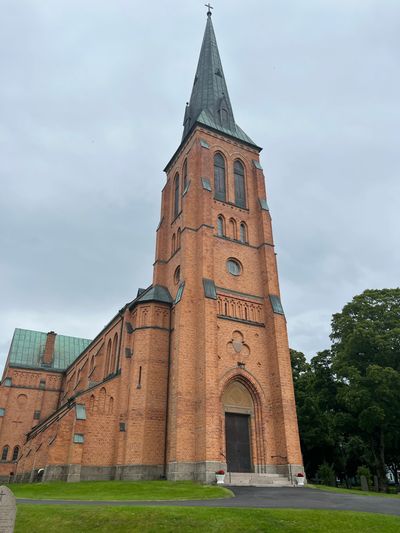 IMG_4569.jpg