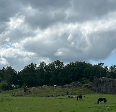 IMG_4662.jpg