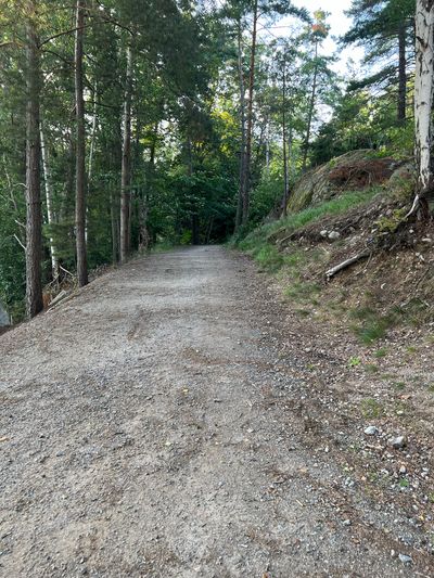 IMG_4689.jpg