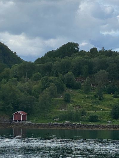 IMG_5178.jpg