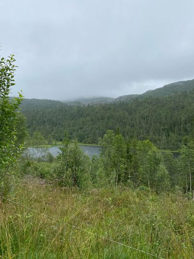IMG_5207.jpg