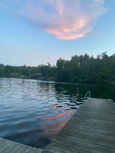 IMG_5325.jpg