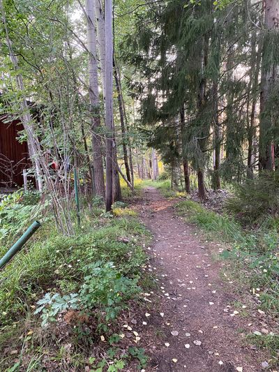 IMG_5347.jpg