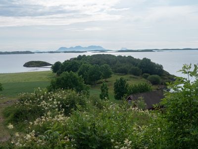 P1139745.jpg