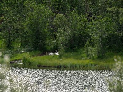 P1139754.jpg