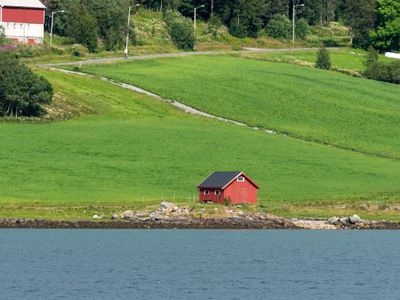 P1139798.jpg