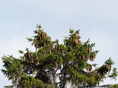 P1139867.jpg